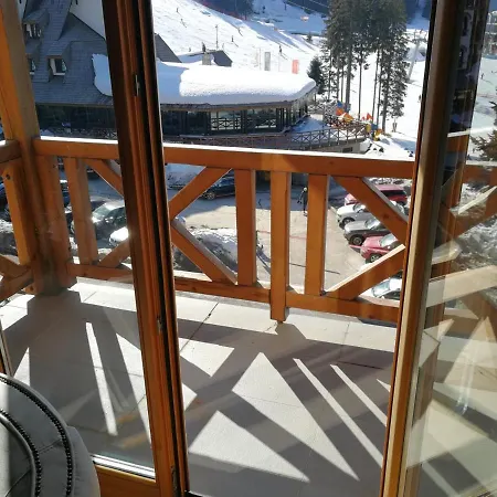 Snjezna Τζαχορίνα